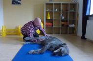 Physiotherapeutische Behandlung