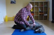 Physiotherapeutische Behandlung