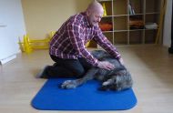 Physiotherapeutische Behandlung